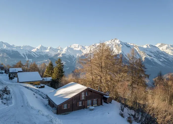 Pierre Blanche 木屋 南达