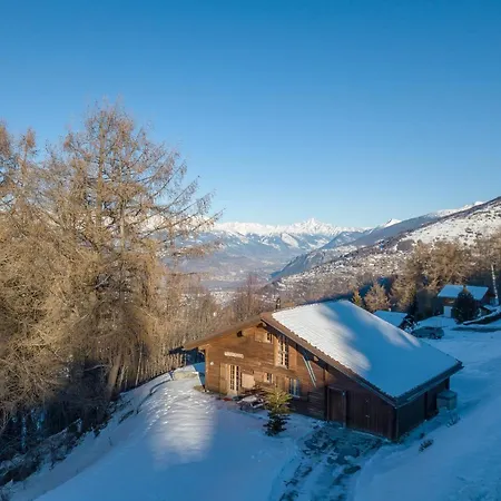 Pierre Blanche Chalet Nendaz